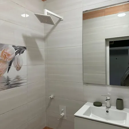 Center Nest * 索菲亞